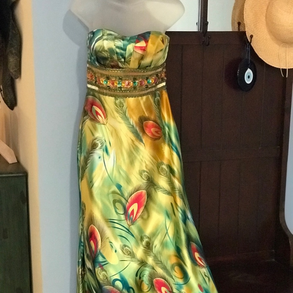 Long peacock gown. Size small.